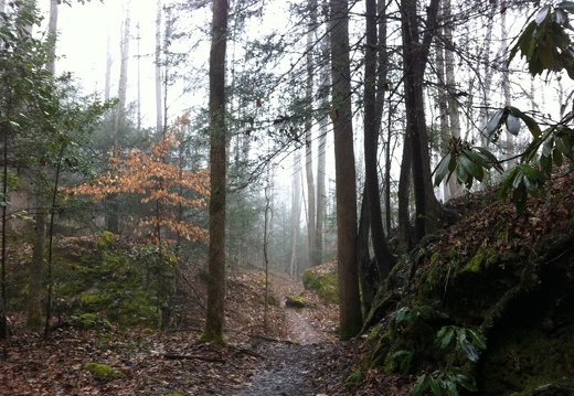 Rough Trail - 08
